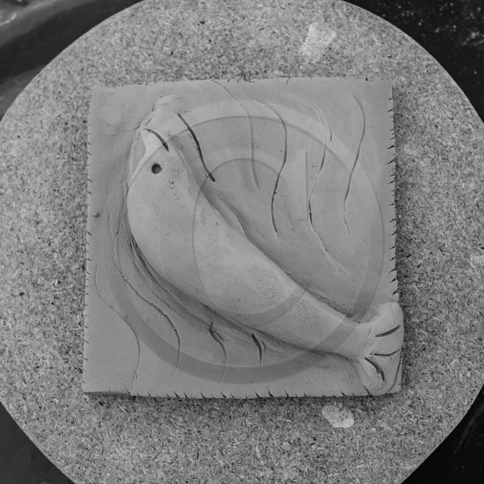 22 septembre 2021 : plein d'activités à l'Ouort