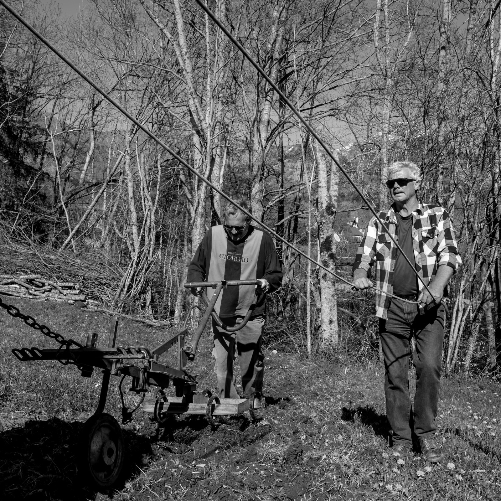 Labour avec un cheval - 17 04 17