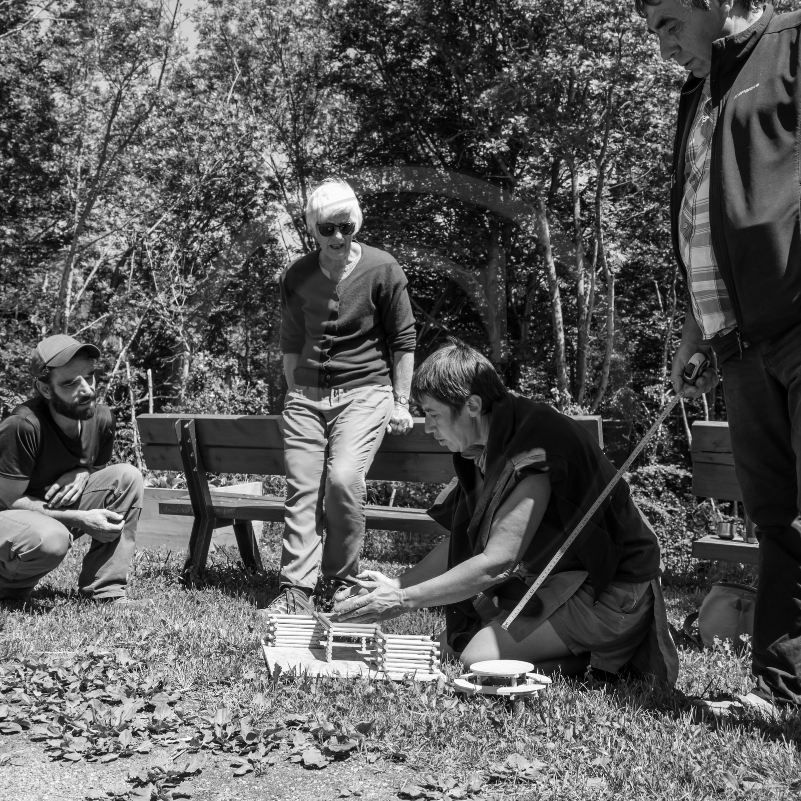 07 juin 2017 - Plantation - Haie - Réunion