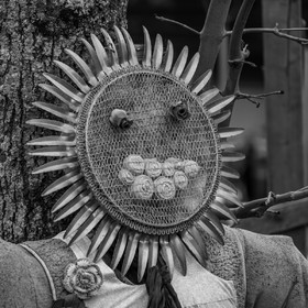 20 avril 2022 : des contes, des pommes de terre et un petit café