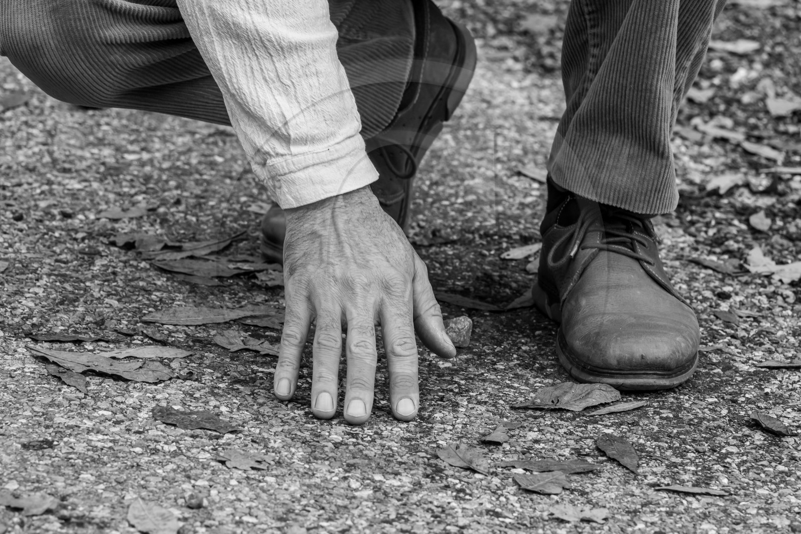 27 octobre 2024 : Contes avec Gilles Bougère