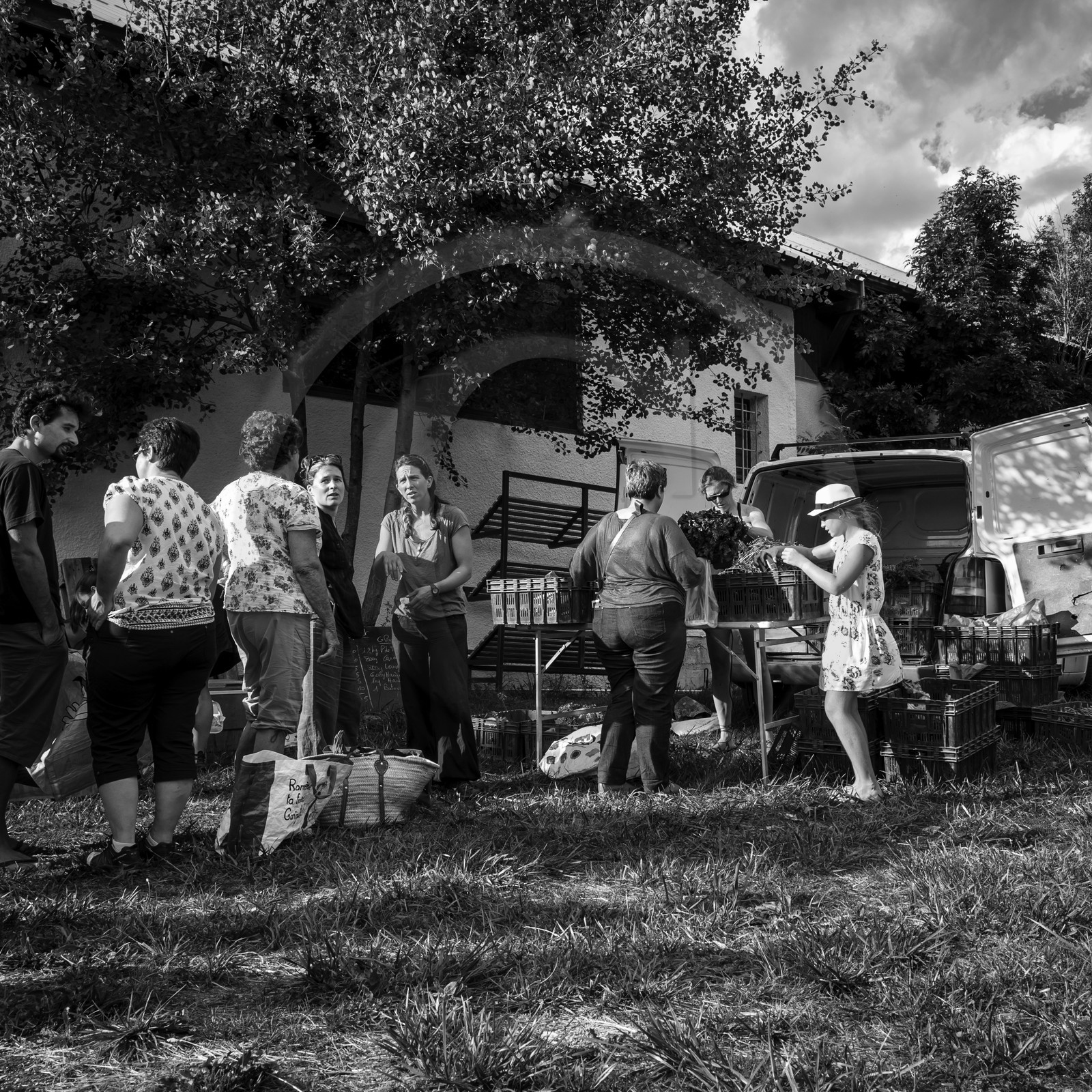 Distribution à l'AMAP du Champsaur
