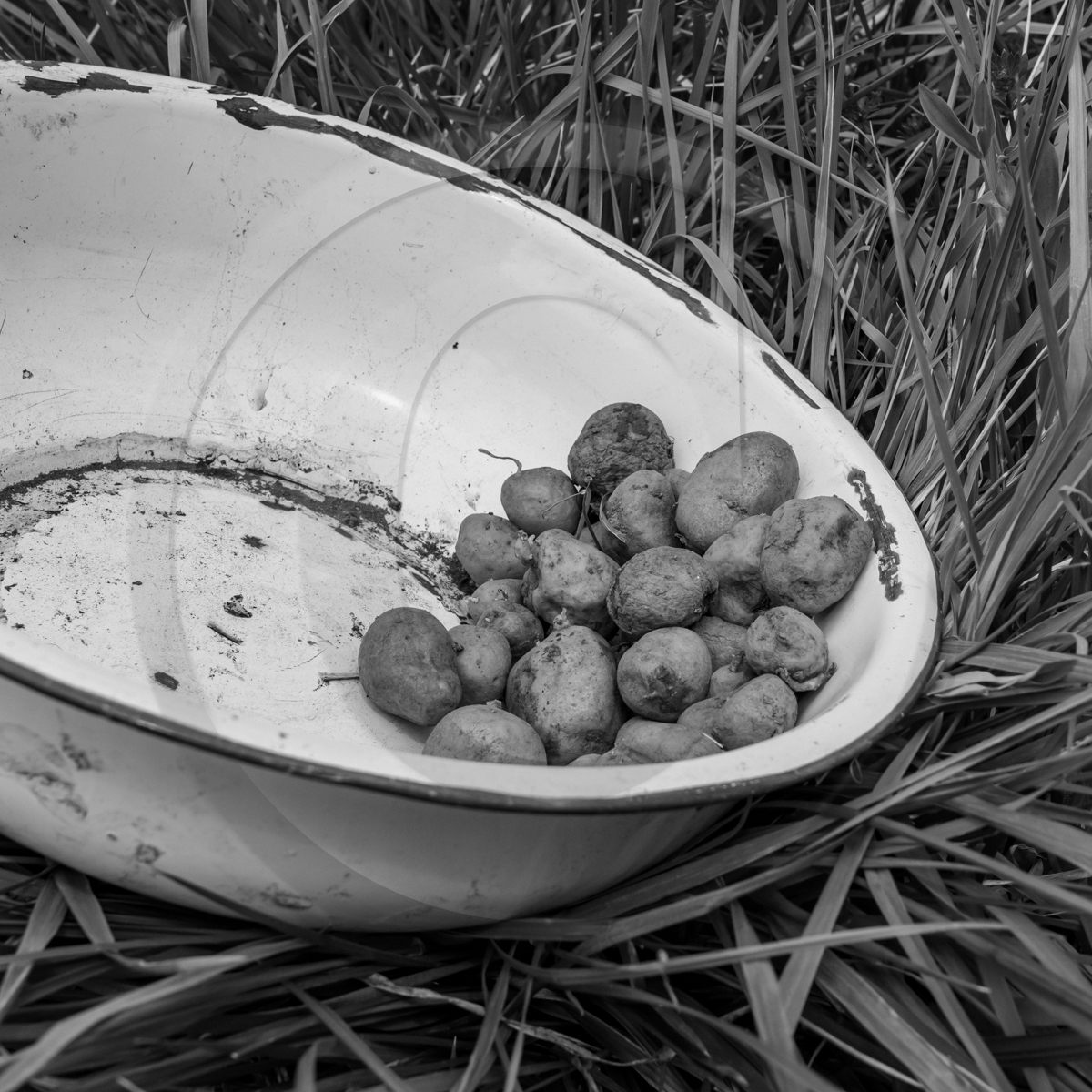 20 avril 2022 : des contes, des pommes de terre et un petit café 20 avril 2022 : des contes, des pommes de terre et un petit café