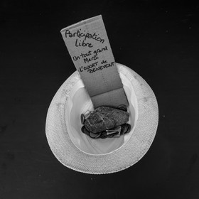 07 août 2017 - Sieste Musicale