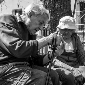 Fabrication de Nichoirs