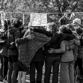 26 octobre 2025 : Les oiseaux de trottoir