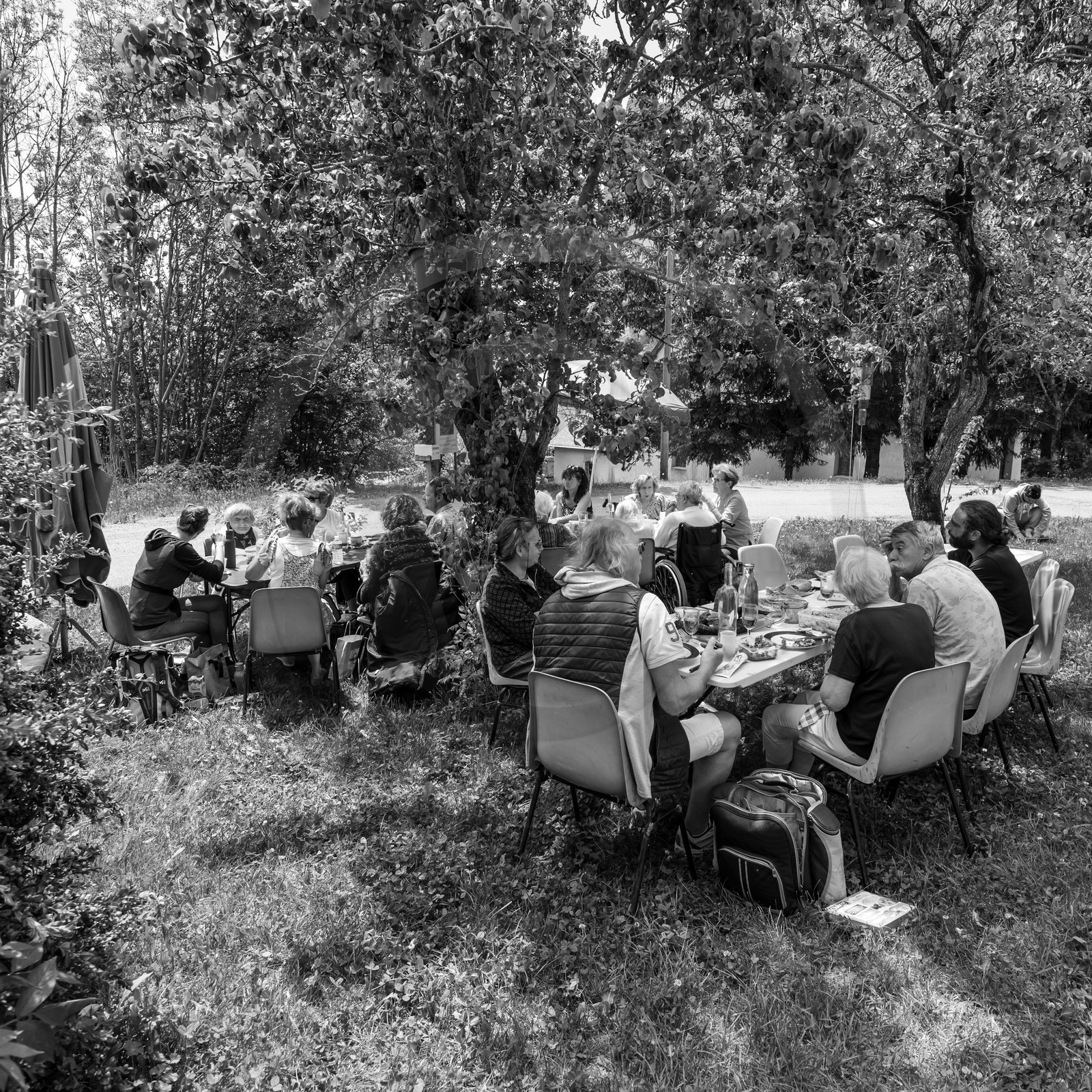 05 juin 2019 : Studio photo et promenade au jardin
