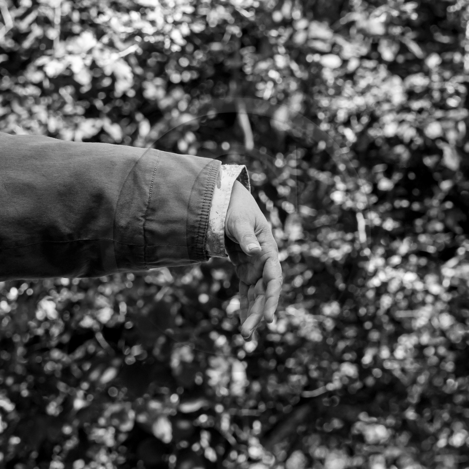 27 septembre 2023 : des crêpes et des clowns 27 septembre 2023 : des crêpes et des clowns