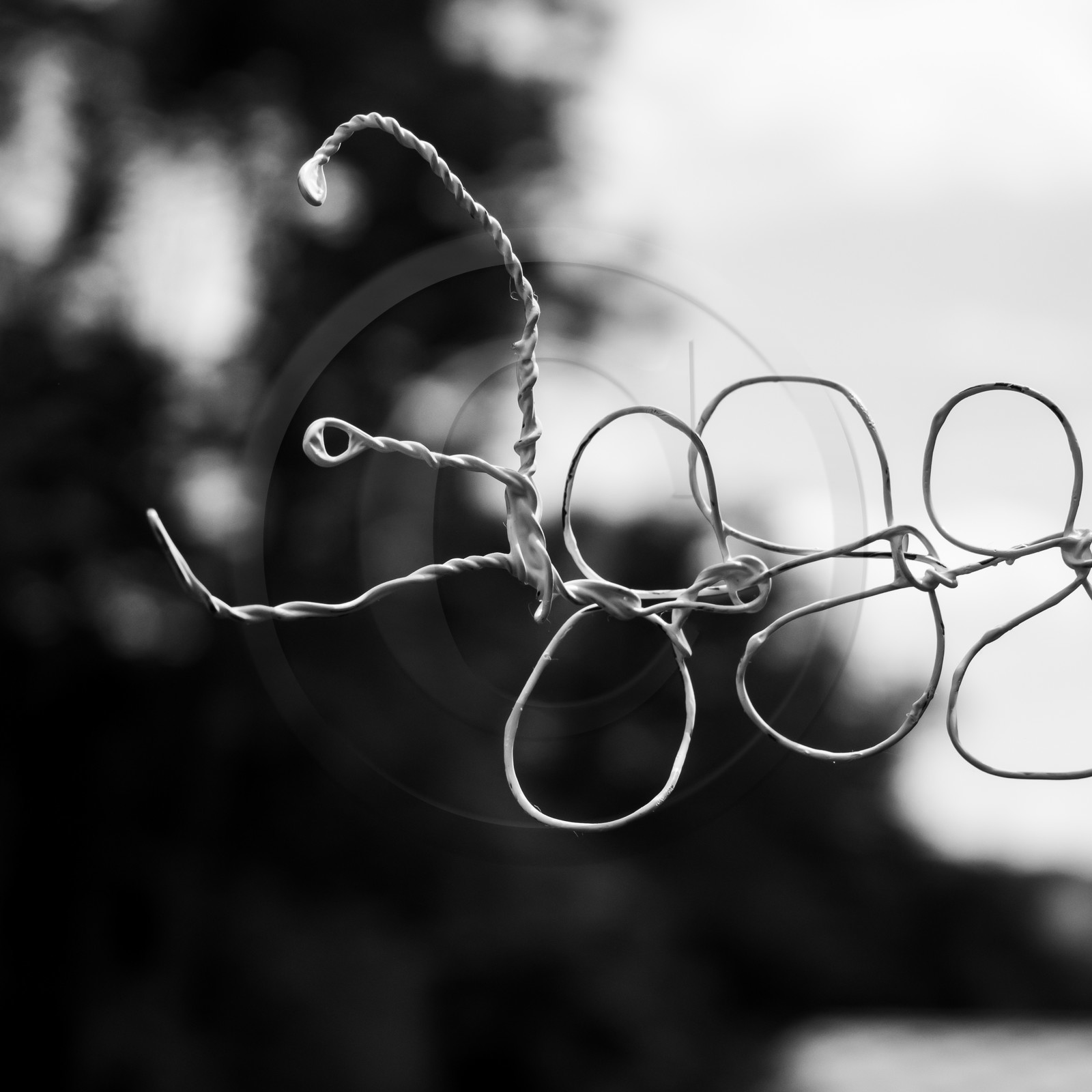 17 juillet 2019 : massages assis