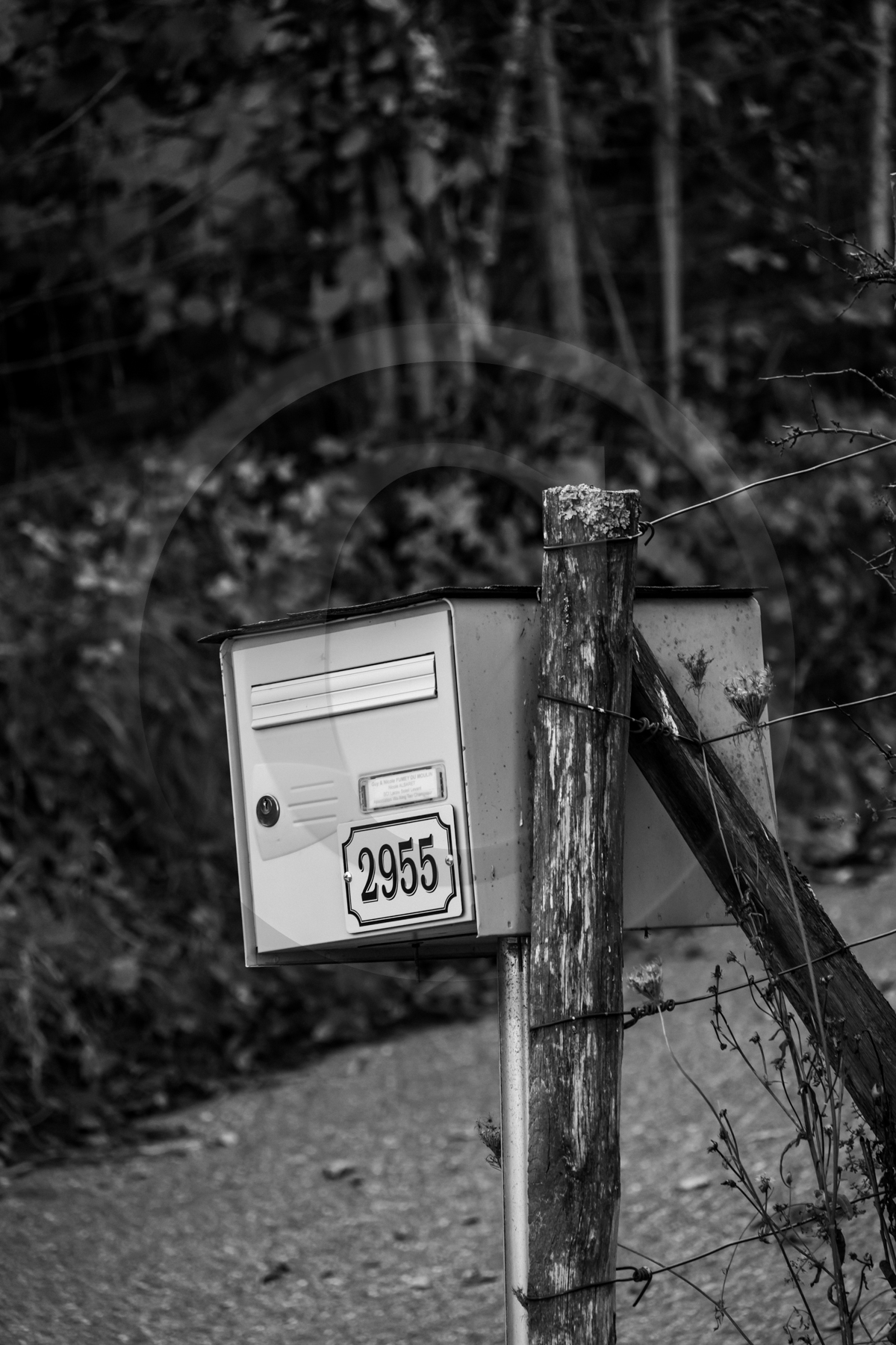 Des chiffres et des lettres