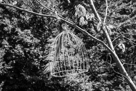 30 juillet 2025 : Avec le Studio 1071