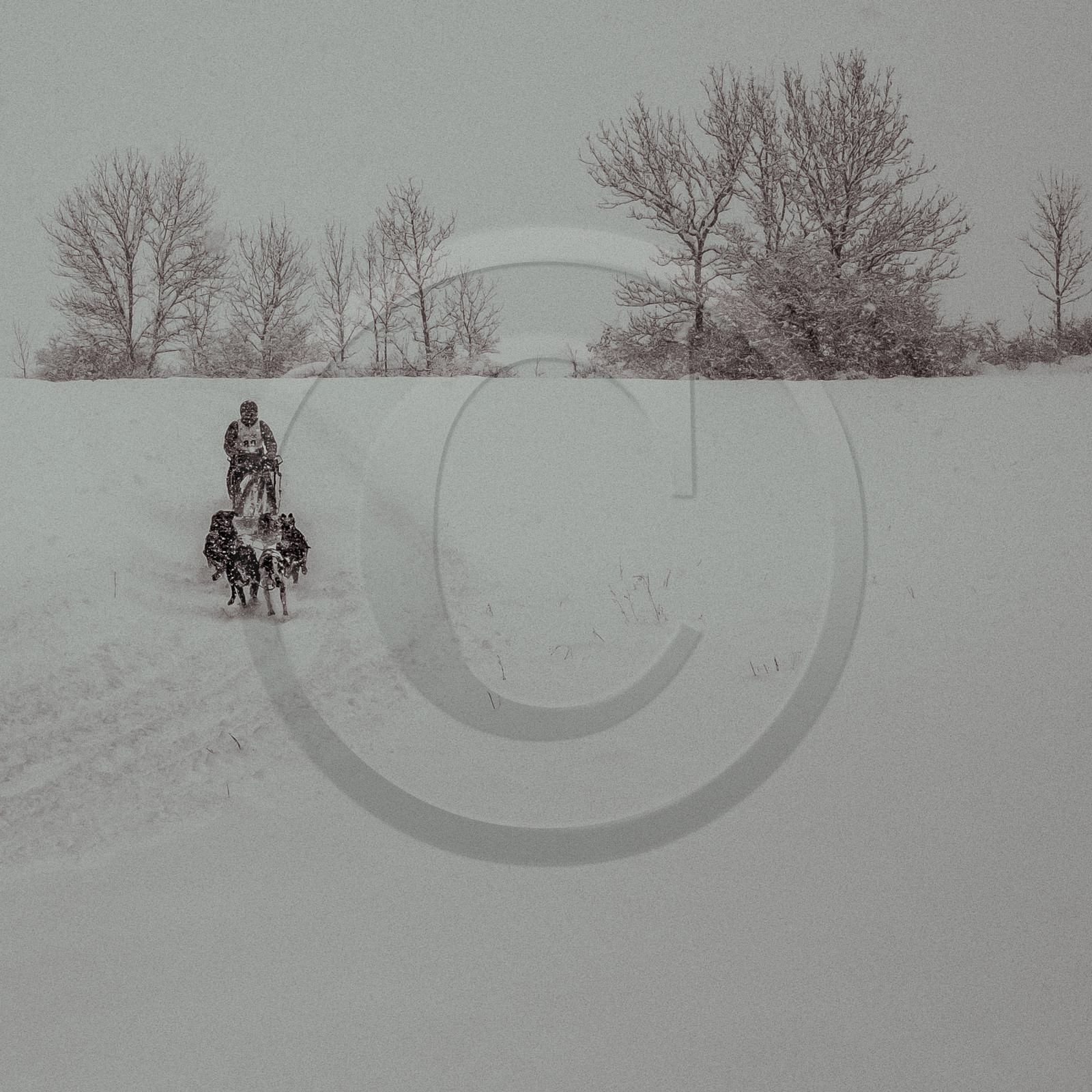 La Valgaude Traineau 2015 La Valgaude Traineau 2015