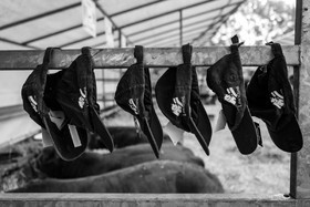 Rencontres paysannes à Saint-Bonnet en Champsaur