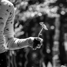 28 mai 2025 : Jeux, Osier, Photos, Jardinage...