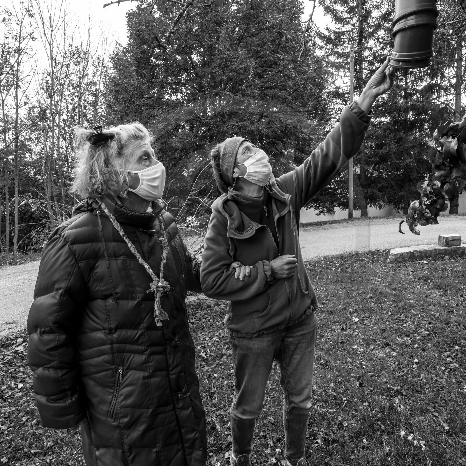 Fabrication de tournesols