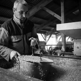 Les soins aux vaches