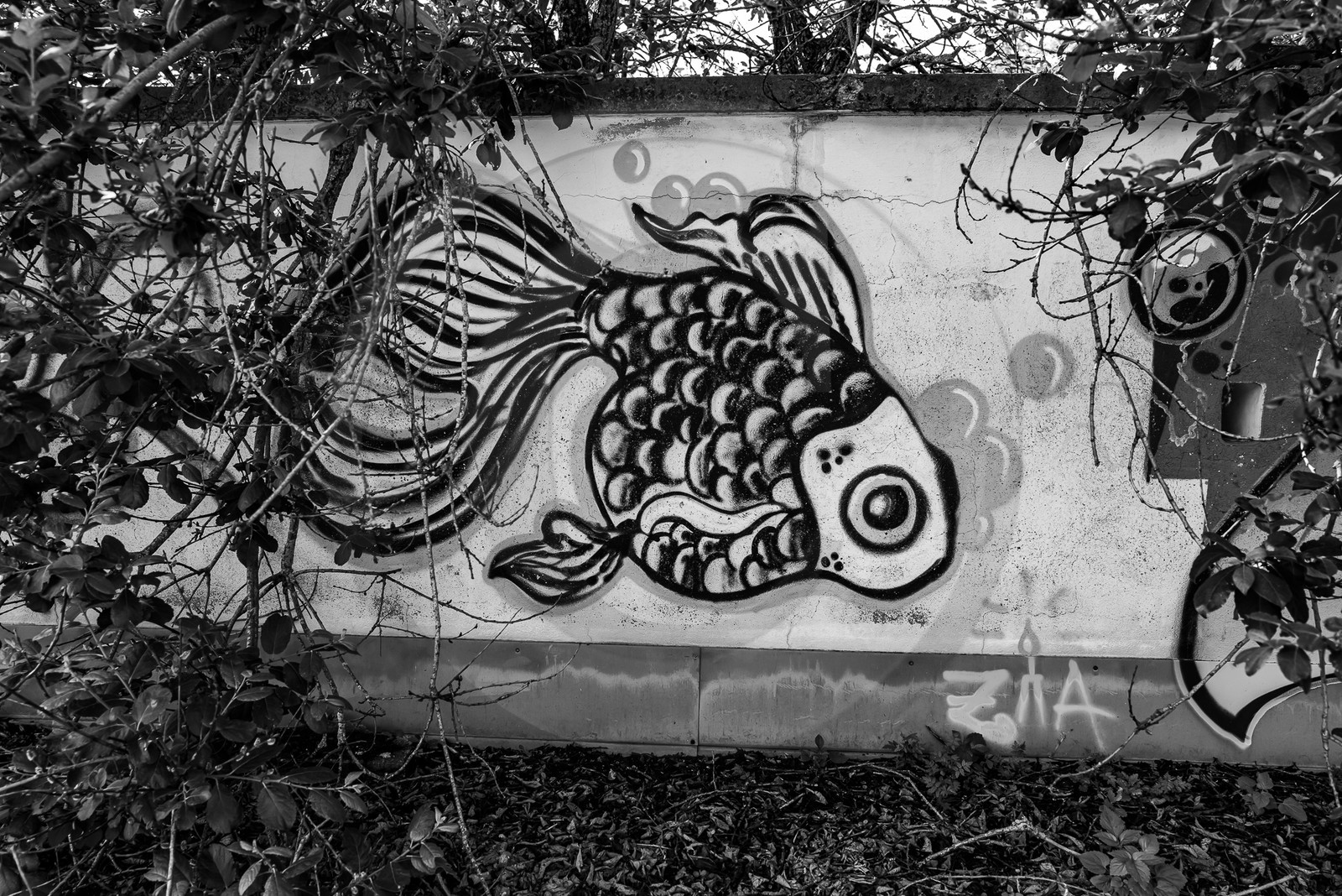 La Piscine de St Léger les Mélèzes