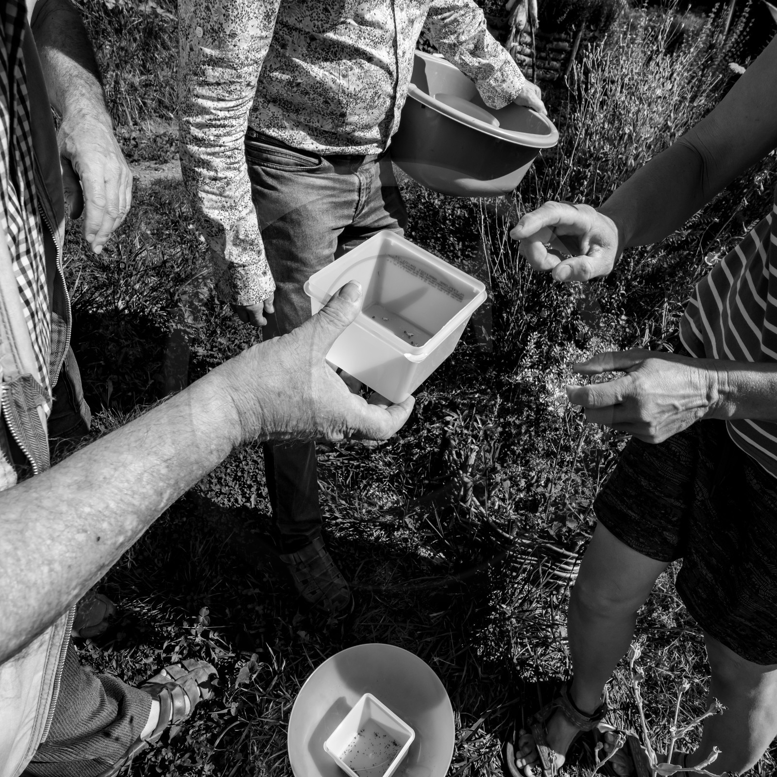 16 août 2021 : Journée des aidants