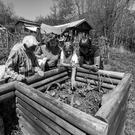 Atelier laine et promenade au jardin