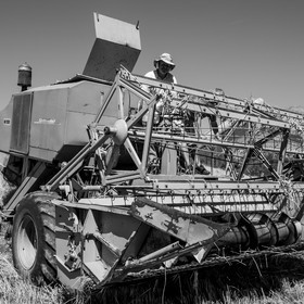 Les moissons dans le Champsaur