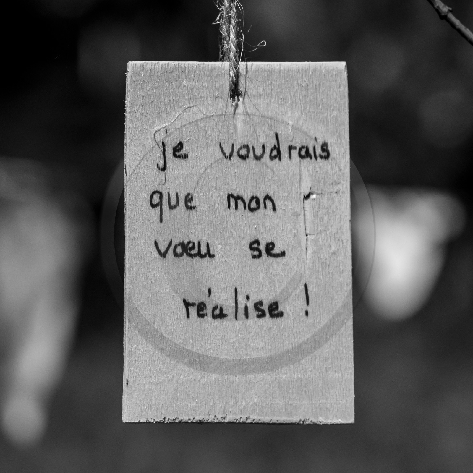 L'écho des mots