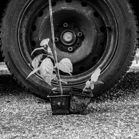 06 juin 2021 : Vide-Jardin et peinture végétale