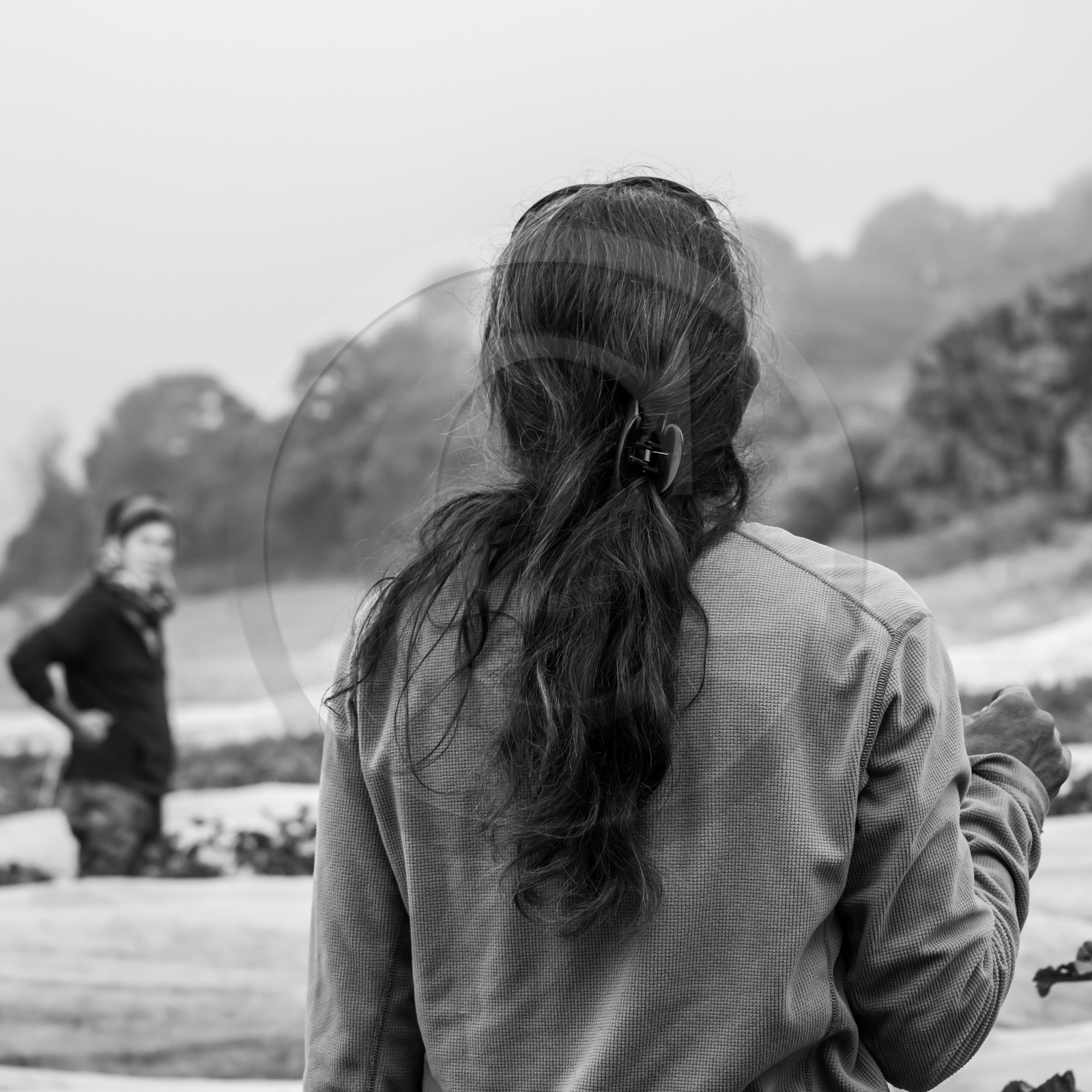 Maraichage biologique dans le Champsaur