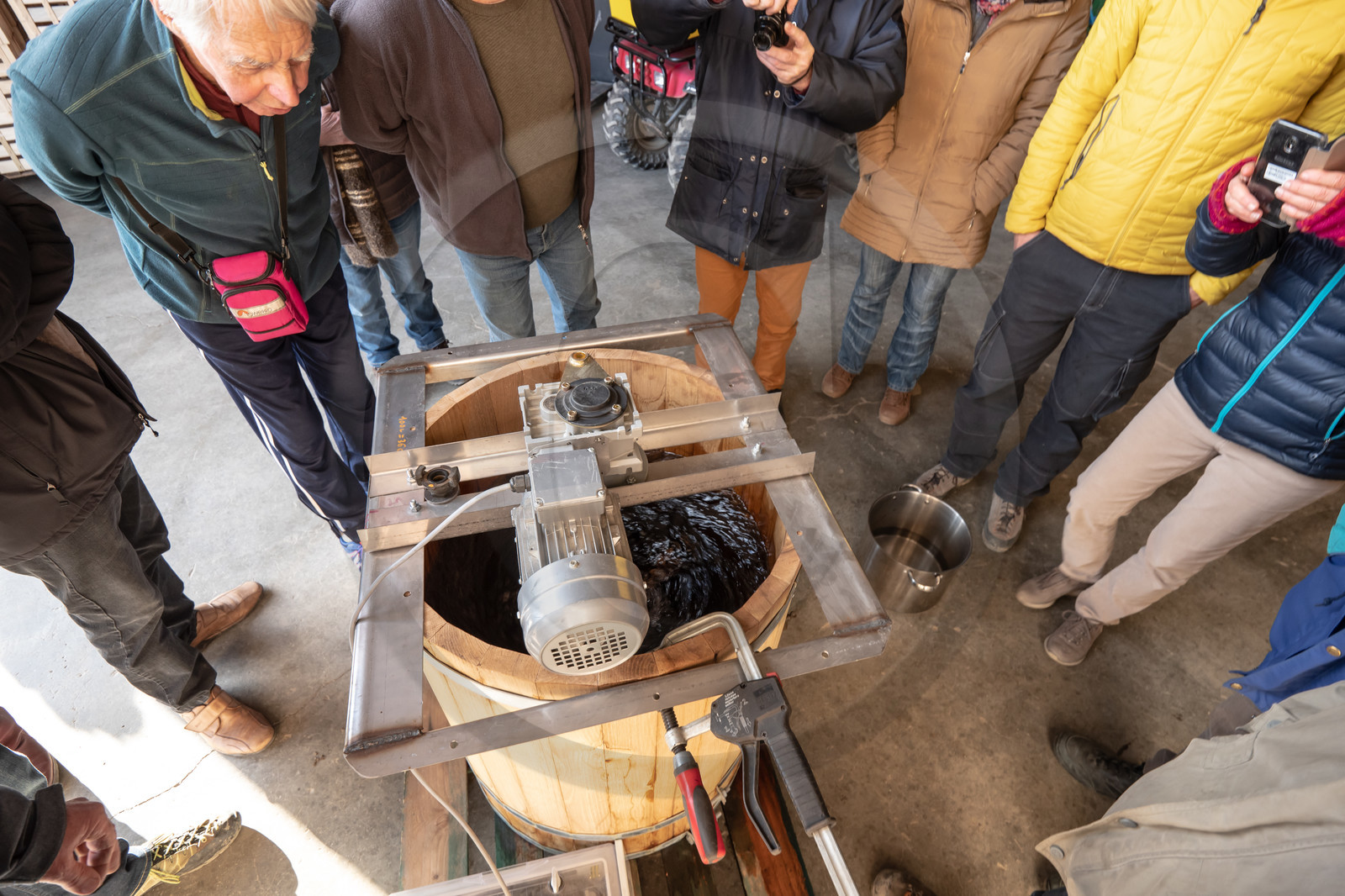 Croqueurs de pommes des Alpes Latines