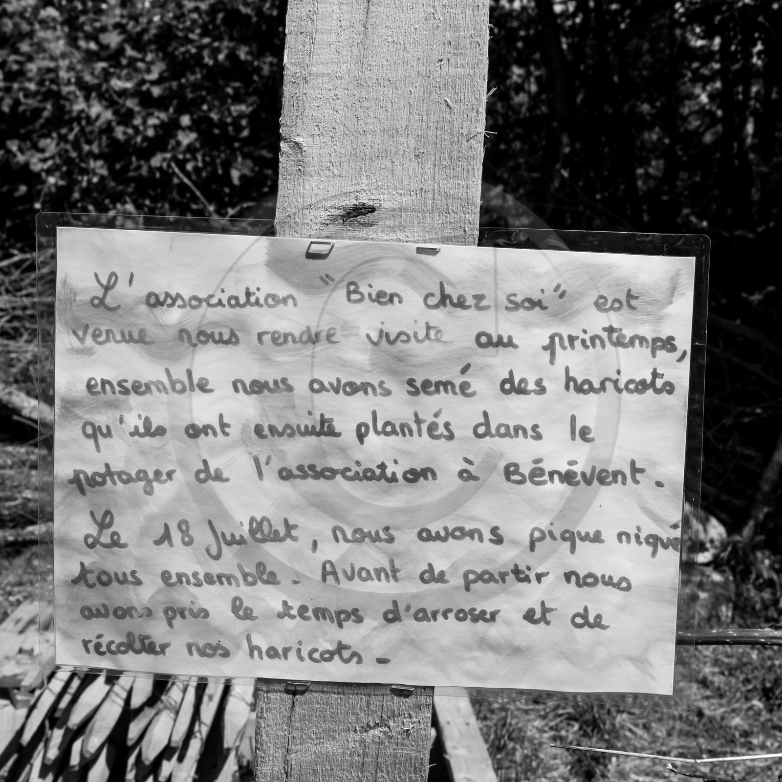 23 août 2017 - Animations 23 août 2017 - Animations