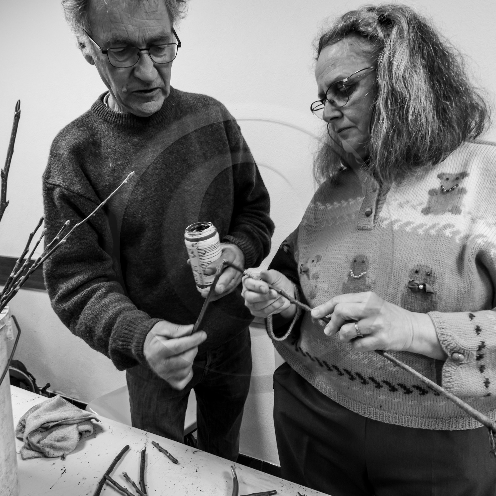 03 avril 2019 : Initiation à la greffe d'arbres fruitiers