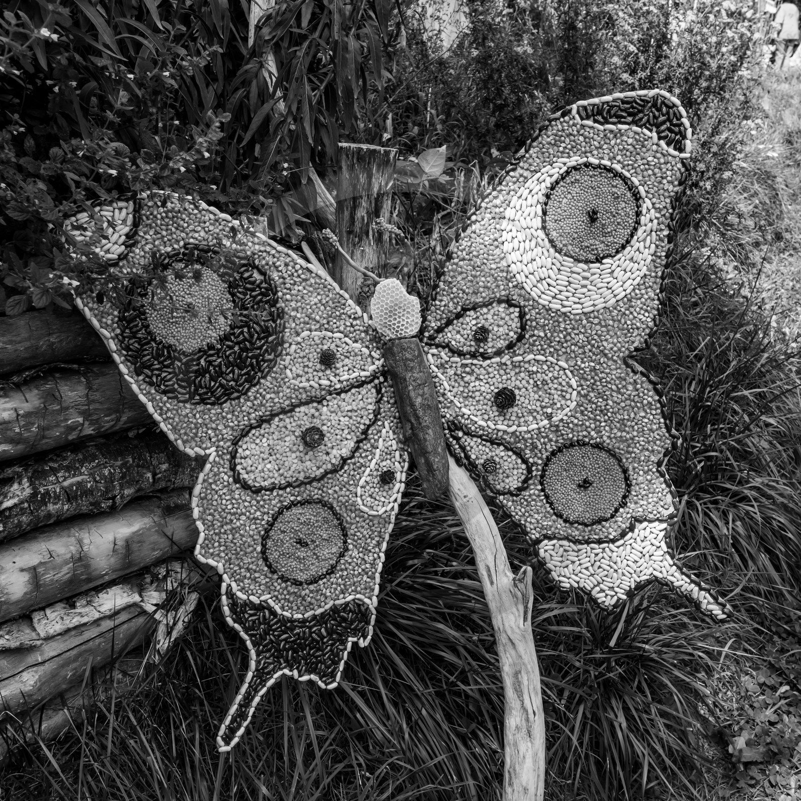 08 septembre 2021 : des jeux et des aménagements au jardin