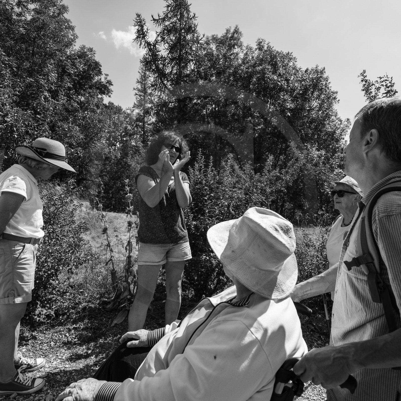 04 septembre 2019 : Visite au jardin des Hautes Terres
