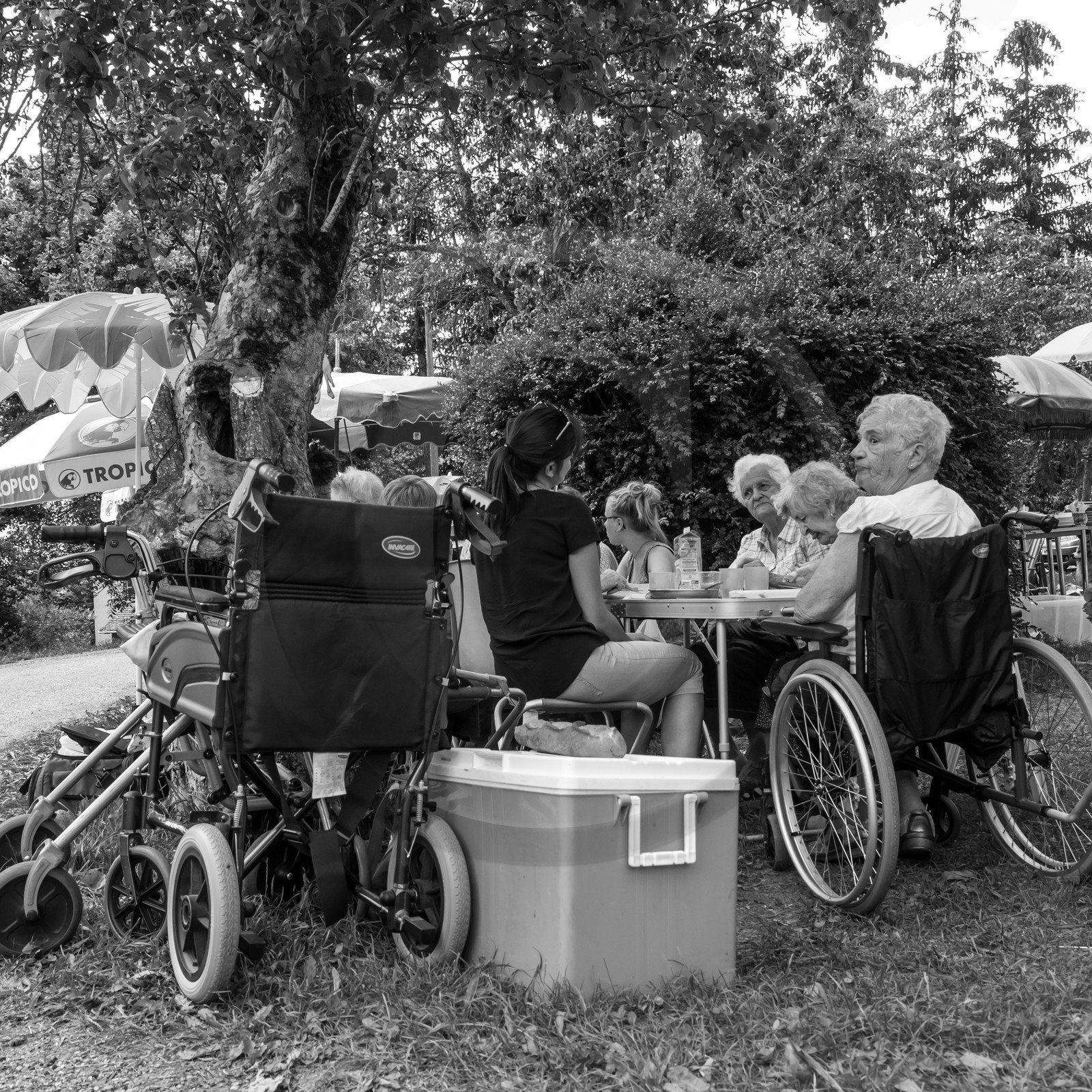 Une après-midi au jardin