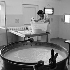 Paul Flambard, fromager