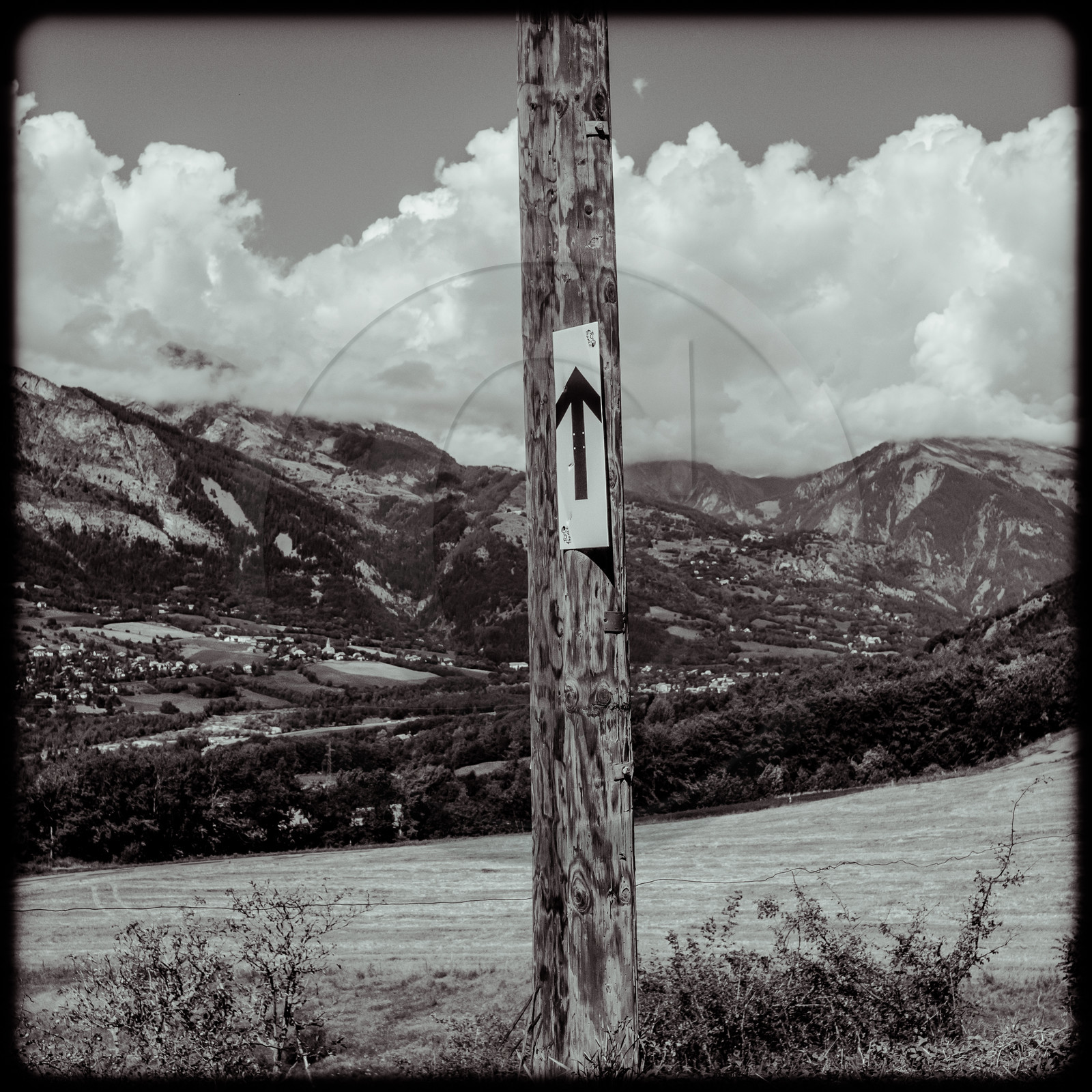 Tour de France cycliste 2020 Tour de France cycliste 2020