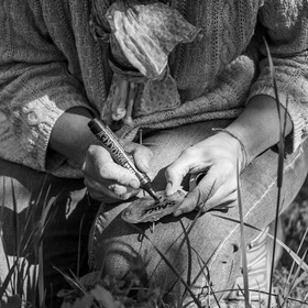 16 mai 2025 : Journée des aidants