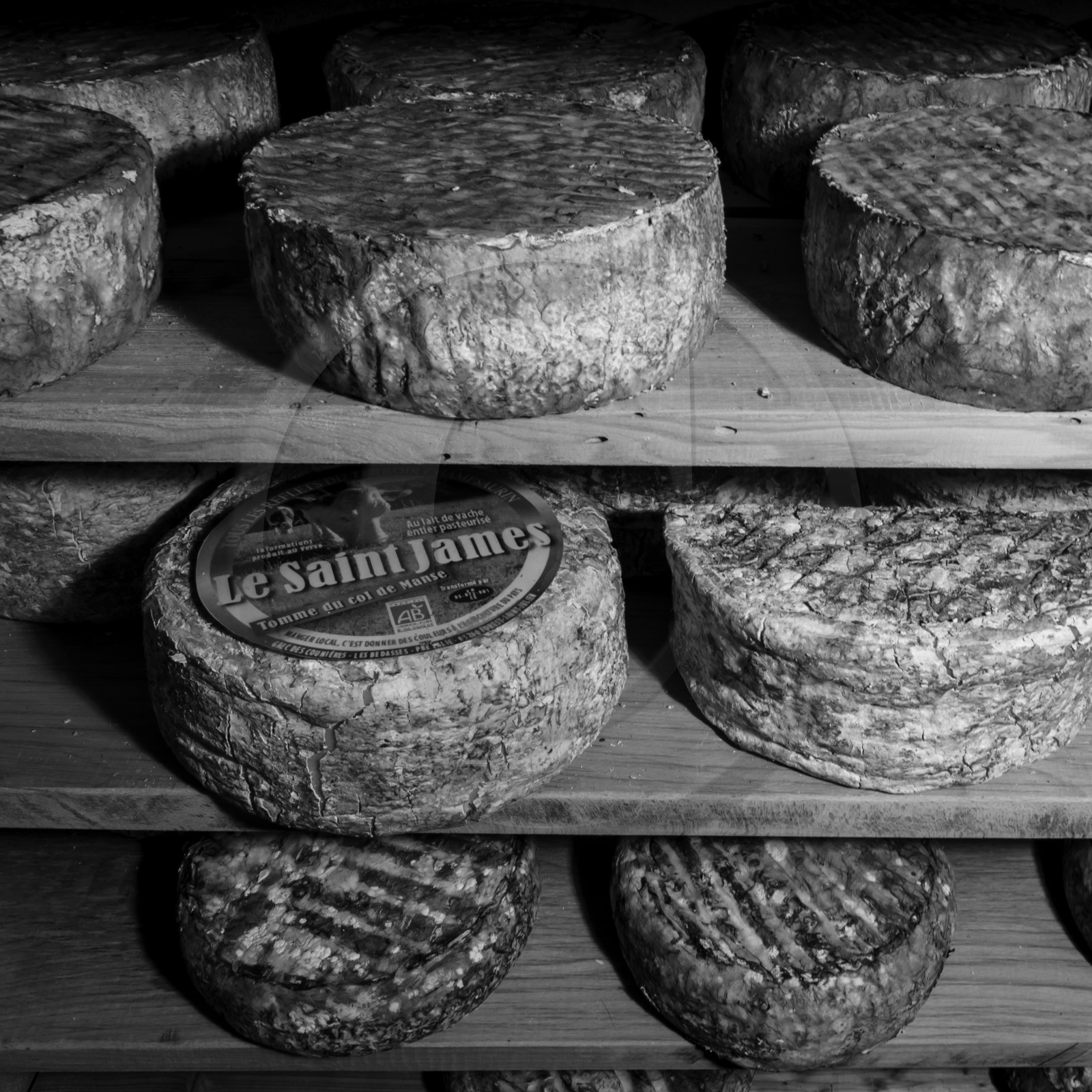 Le GAEC des Counières