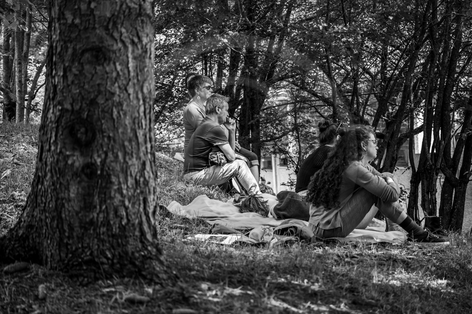 26 juin 2024 : Sieste Musicale avec Balthazar