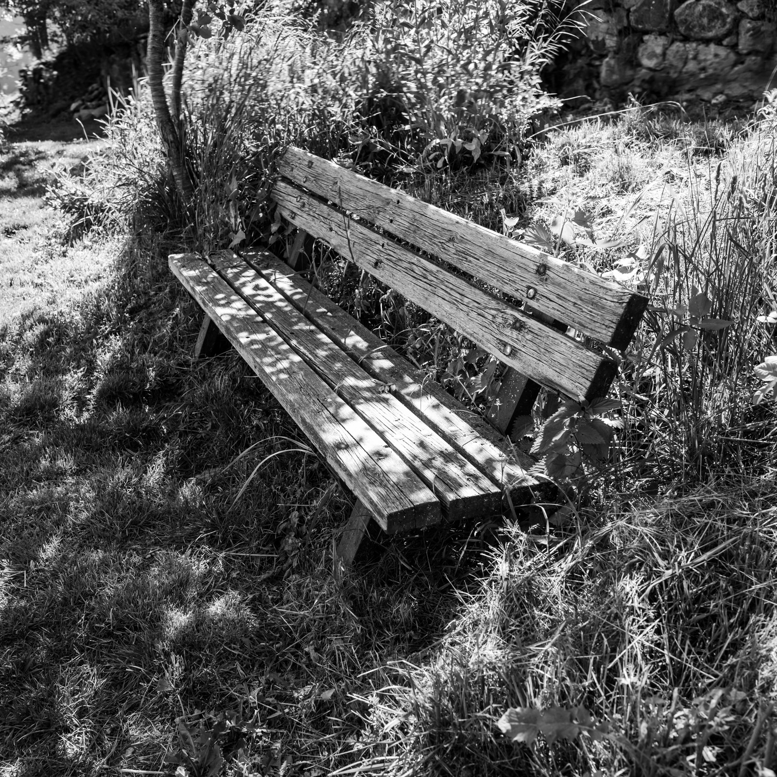 16 mai 2025 : Journée des aidants