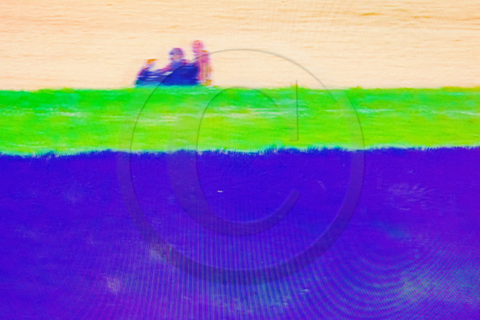 Le Tour de France cycliste 2021