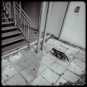 L'esprit d'escalier