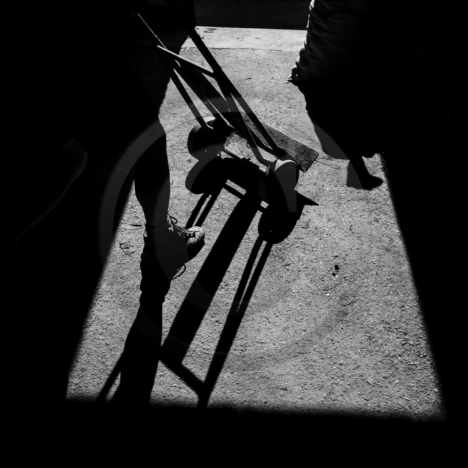 La récolte des pommes de terre