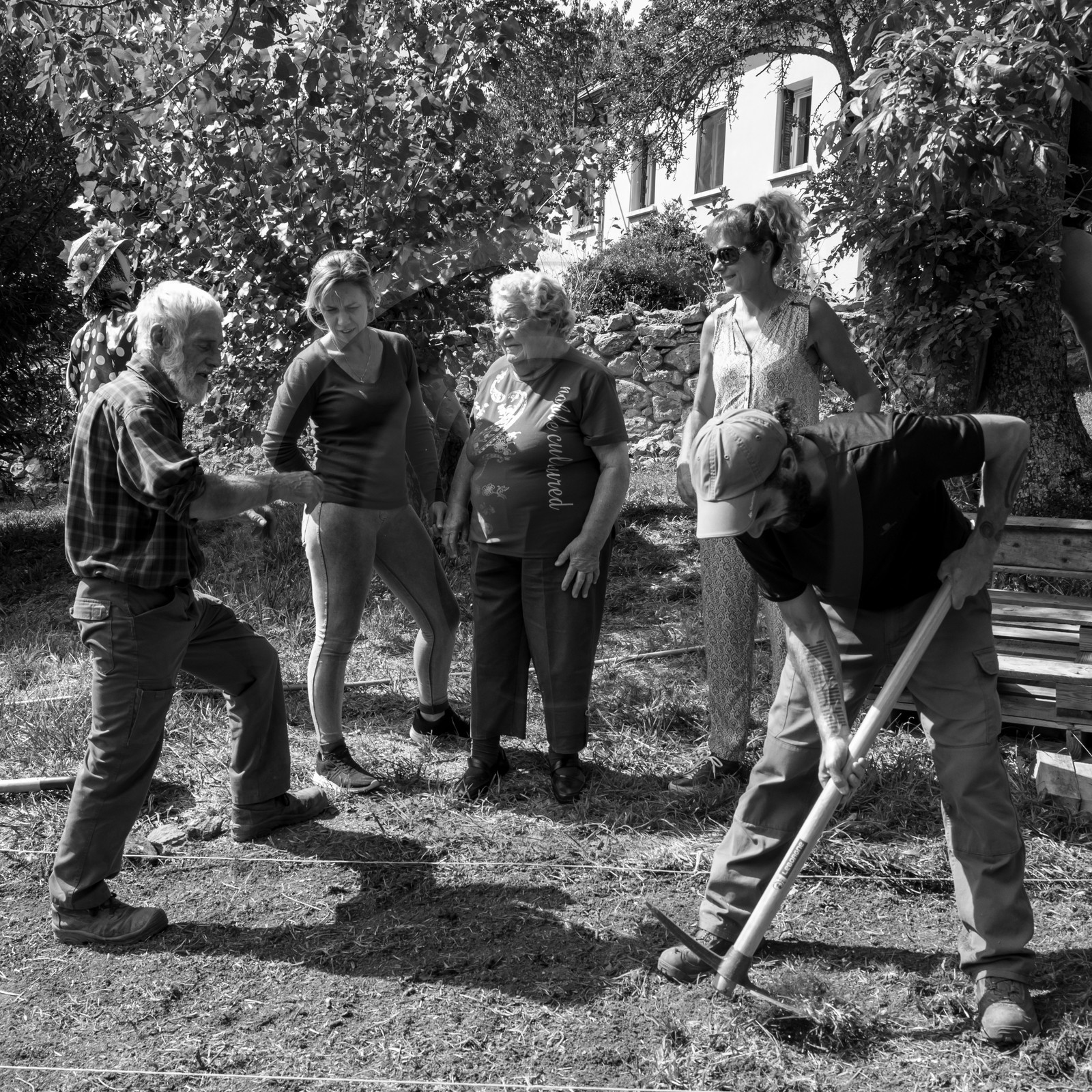 13 septembre 2017 - Chemins - Graines