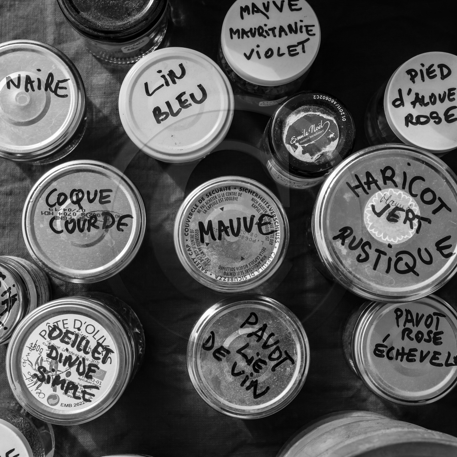 06 juin 2021 : Vide-Jardin et peinture végétale