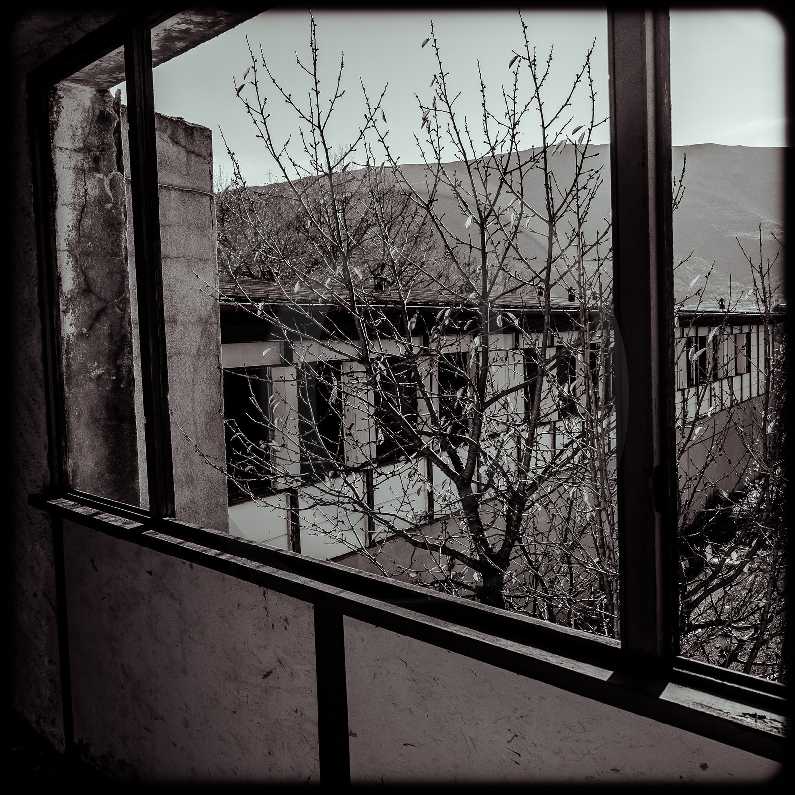 Le Relais Boré