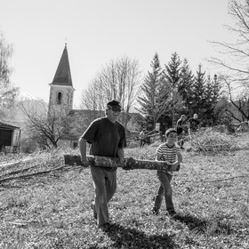 Nettoyage du terrain - Coupe du bois - 29 03 17