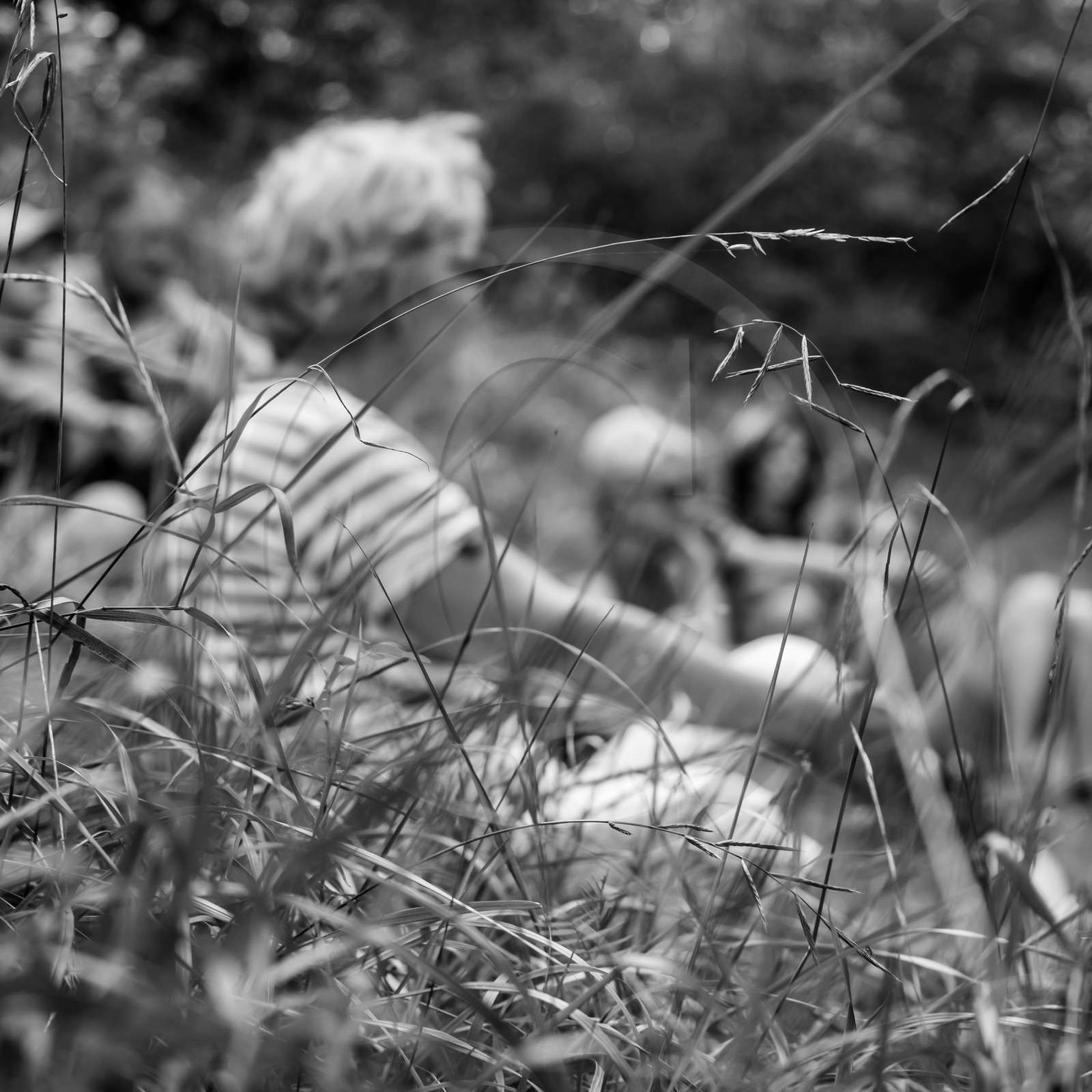 Arpenter le paysage avec Martin de la Soudière