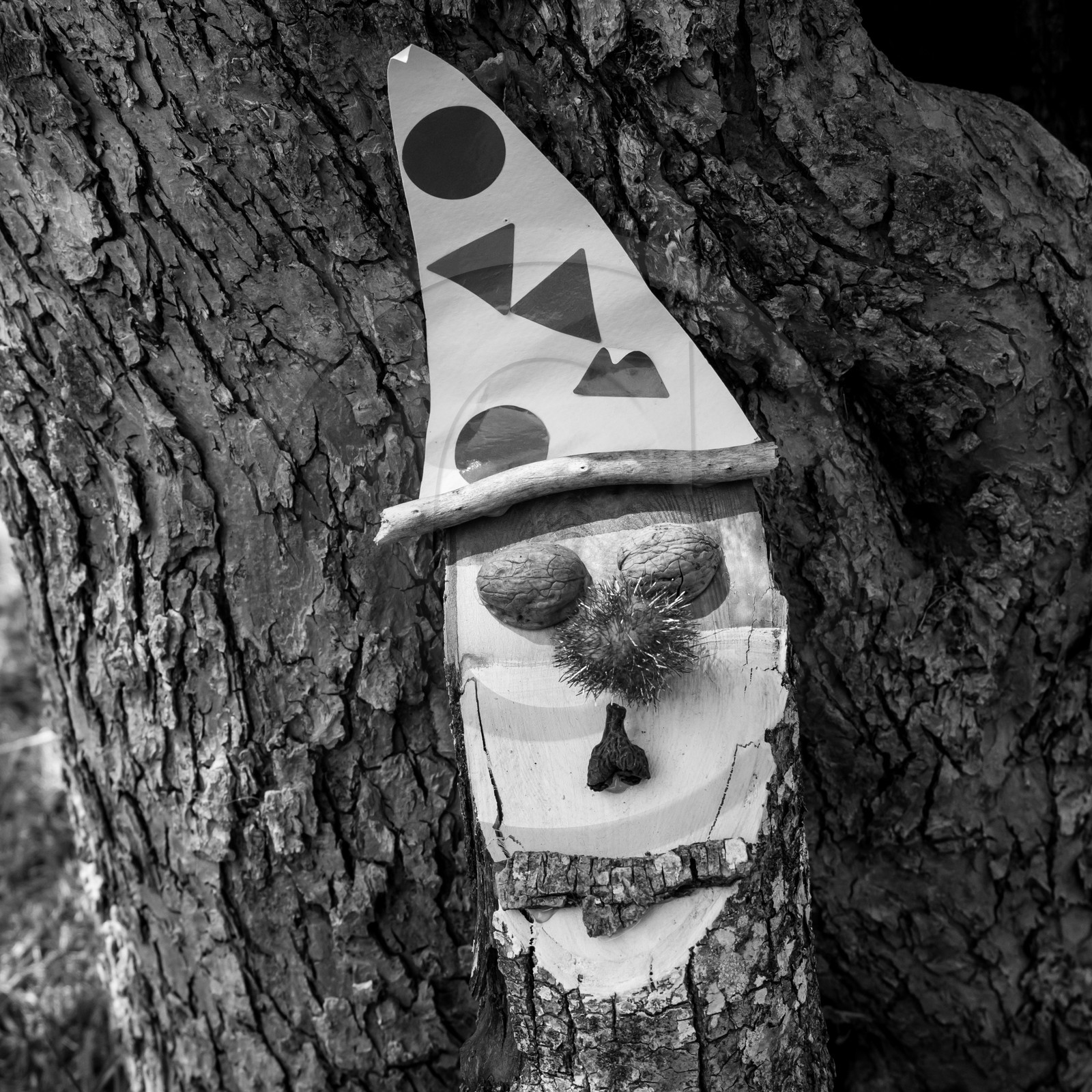 23 août 2017 - Animations 23 août 2017 - Animations