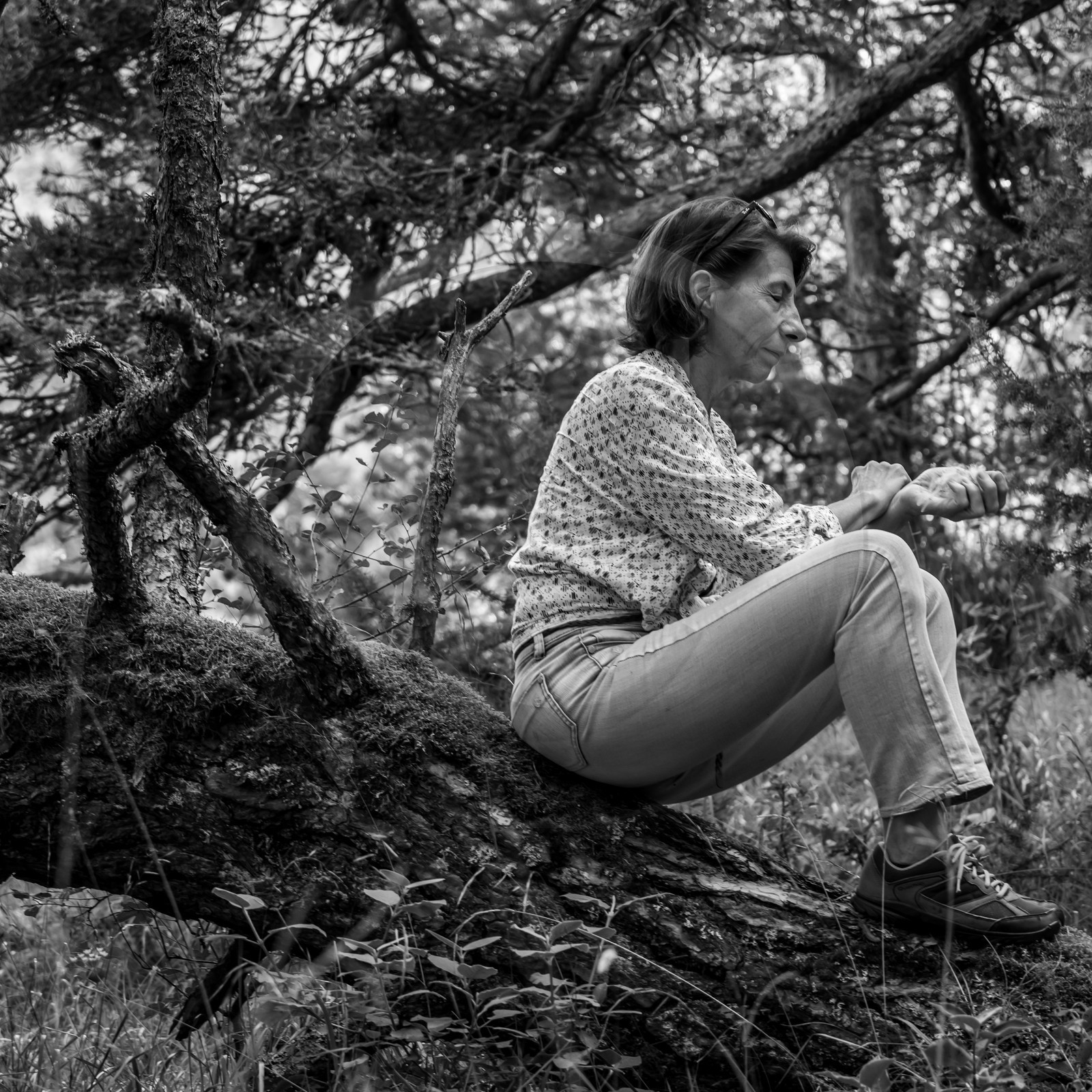 Arpenter le paysage avec Martin de la Soudière