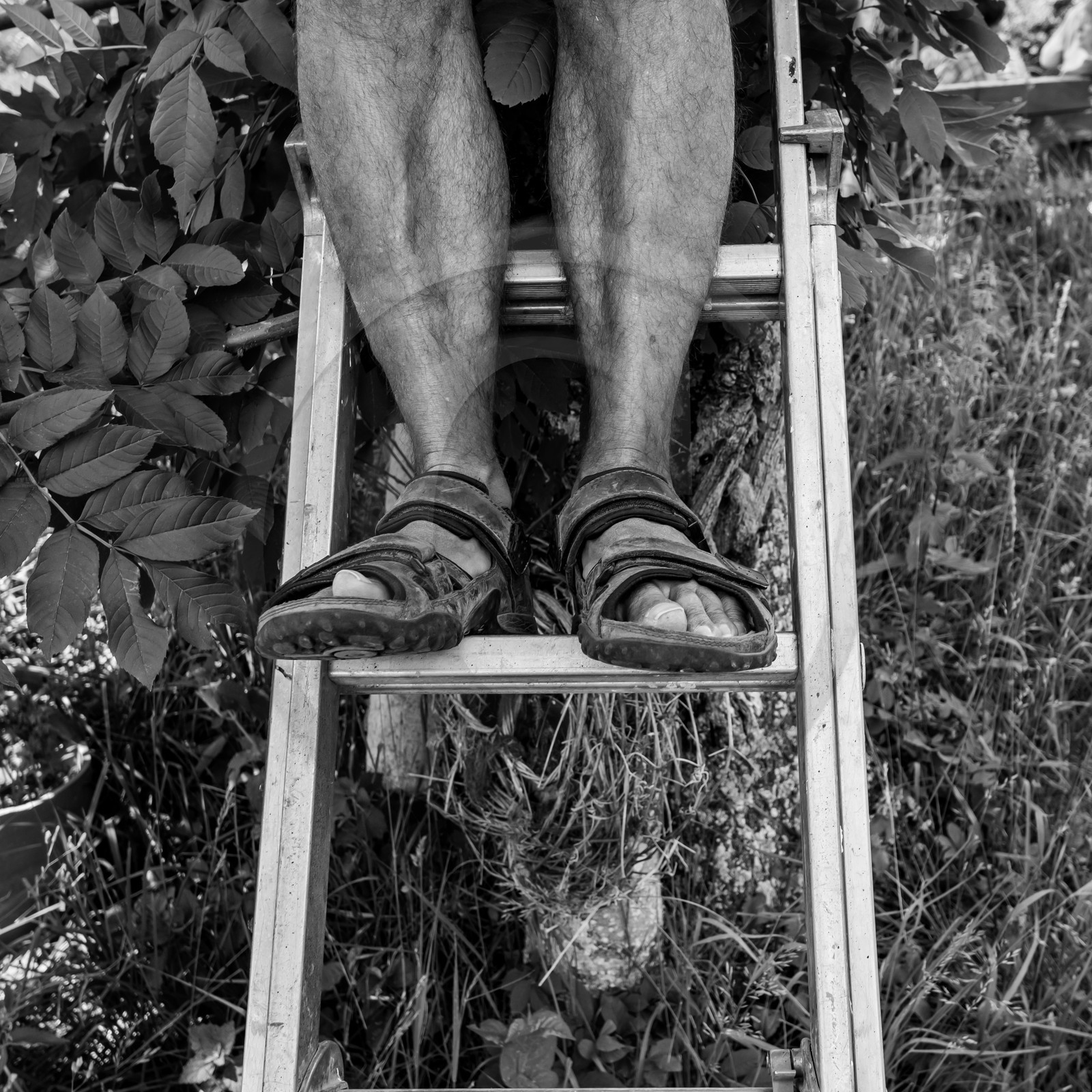 23 juin 2021 : Une après-midi à l'Ouort